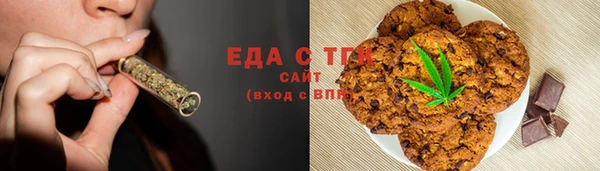 мдпв Рыльск