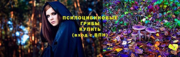 тгк Семилуки