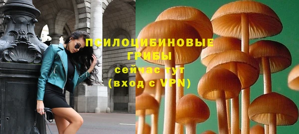 тгк Семилуки