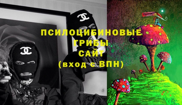 тгк Семилуки