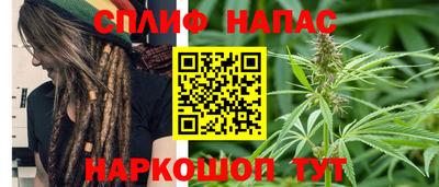 дживик Кингисепп