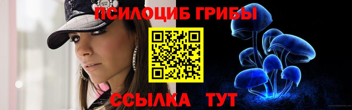 Галлюциногенные грибы мухоморы Сокол